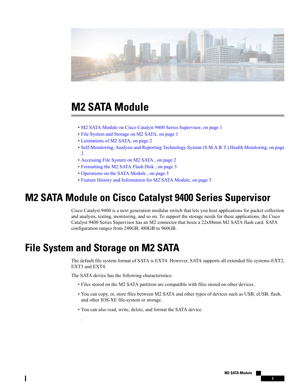 M2 SATA Module