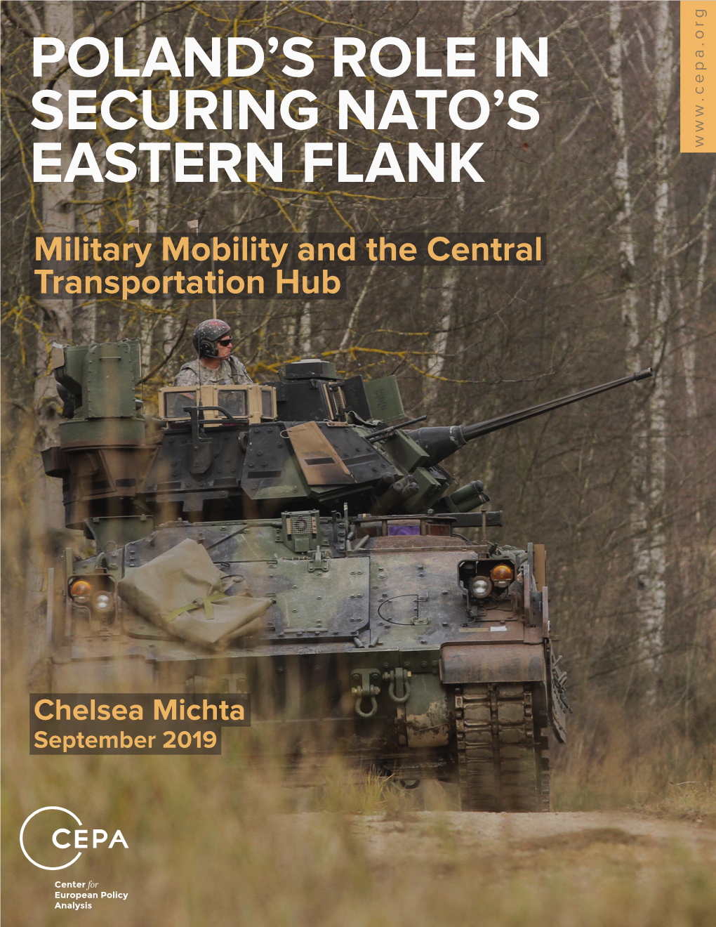 Poland's Role in Securing Nato's Eastern Flank