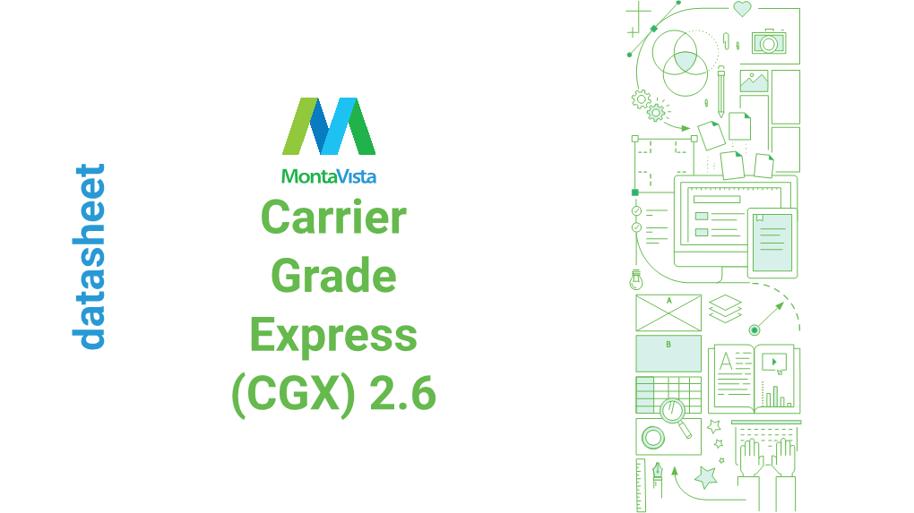 CGX Datasheet