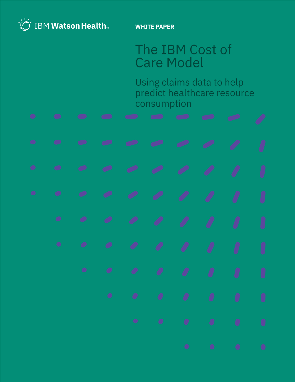 The IBM Cost of Care Model