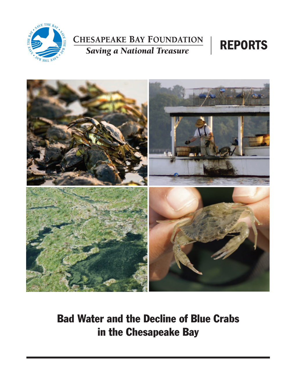 Bad Water and the Decline of Blue Crabs in the Chesapeake