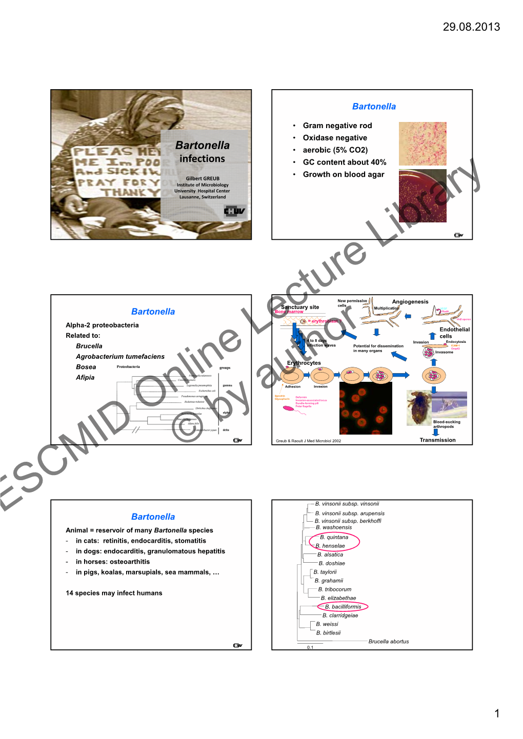 ESCMID Online Lecture Library © by Author