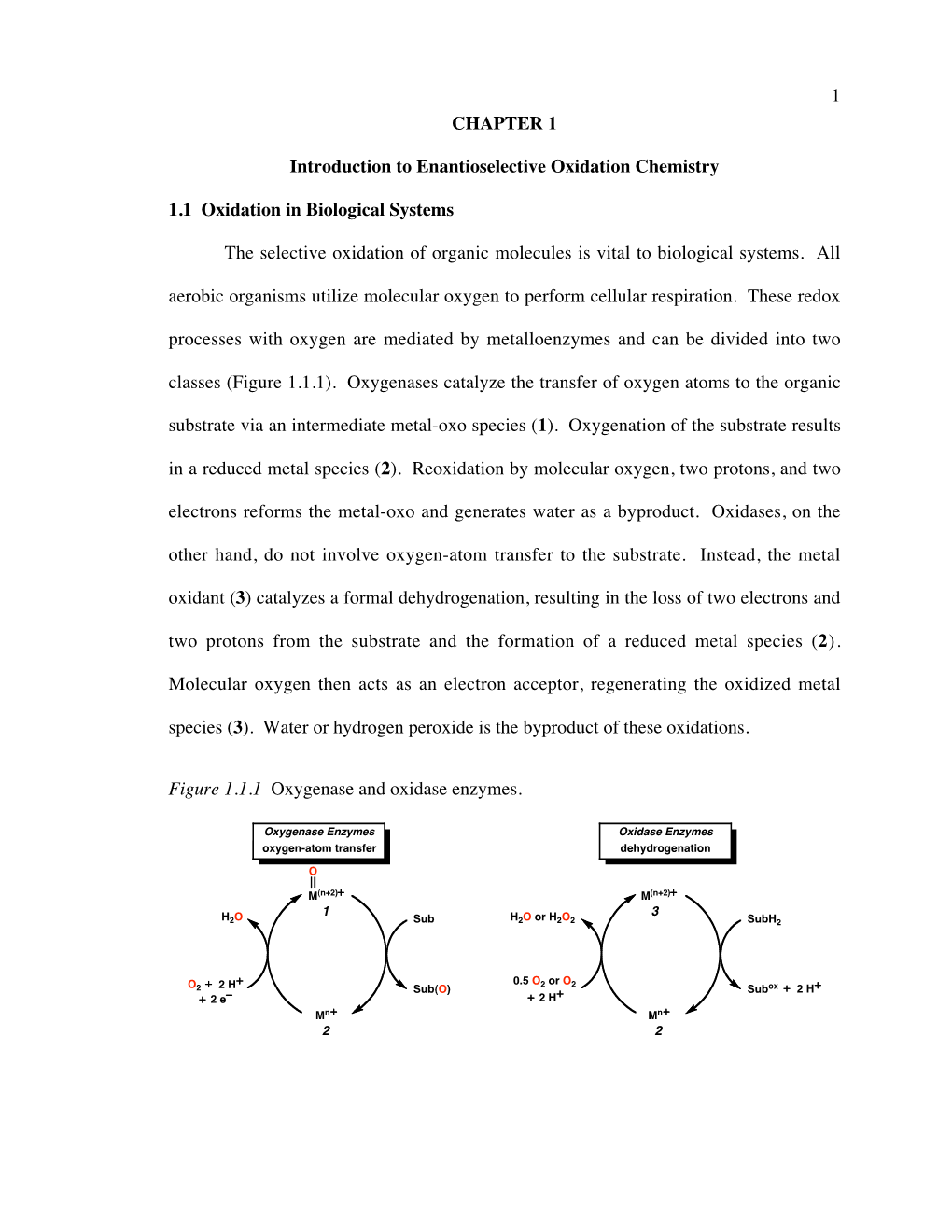 1 CHAPTER 1 Introduction to Enantioselective Oxidation Chemistry 1.1 Oxidation in Biological Systems the Selective Oxidation Of