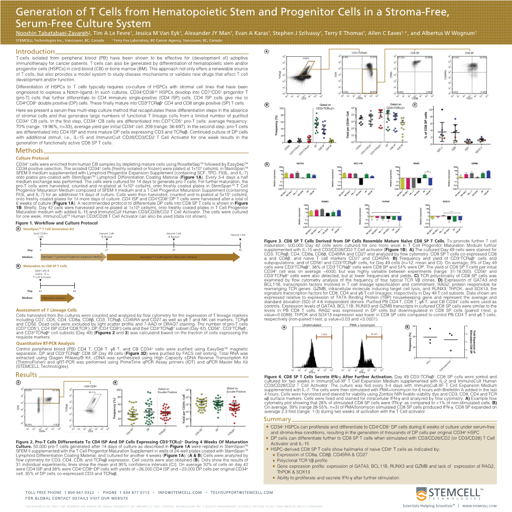 Generation of T Cells from Hematopoietic Stem and Progenitor