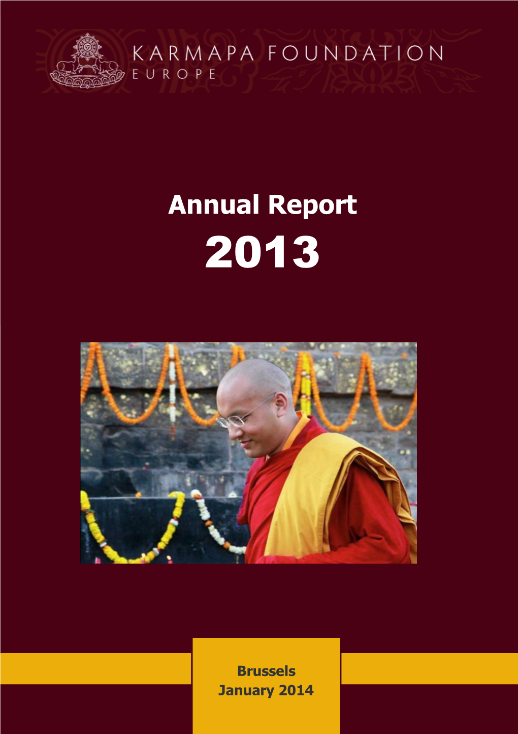 Annual Report 2013