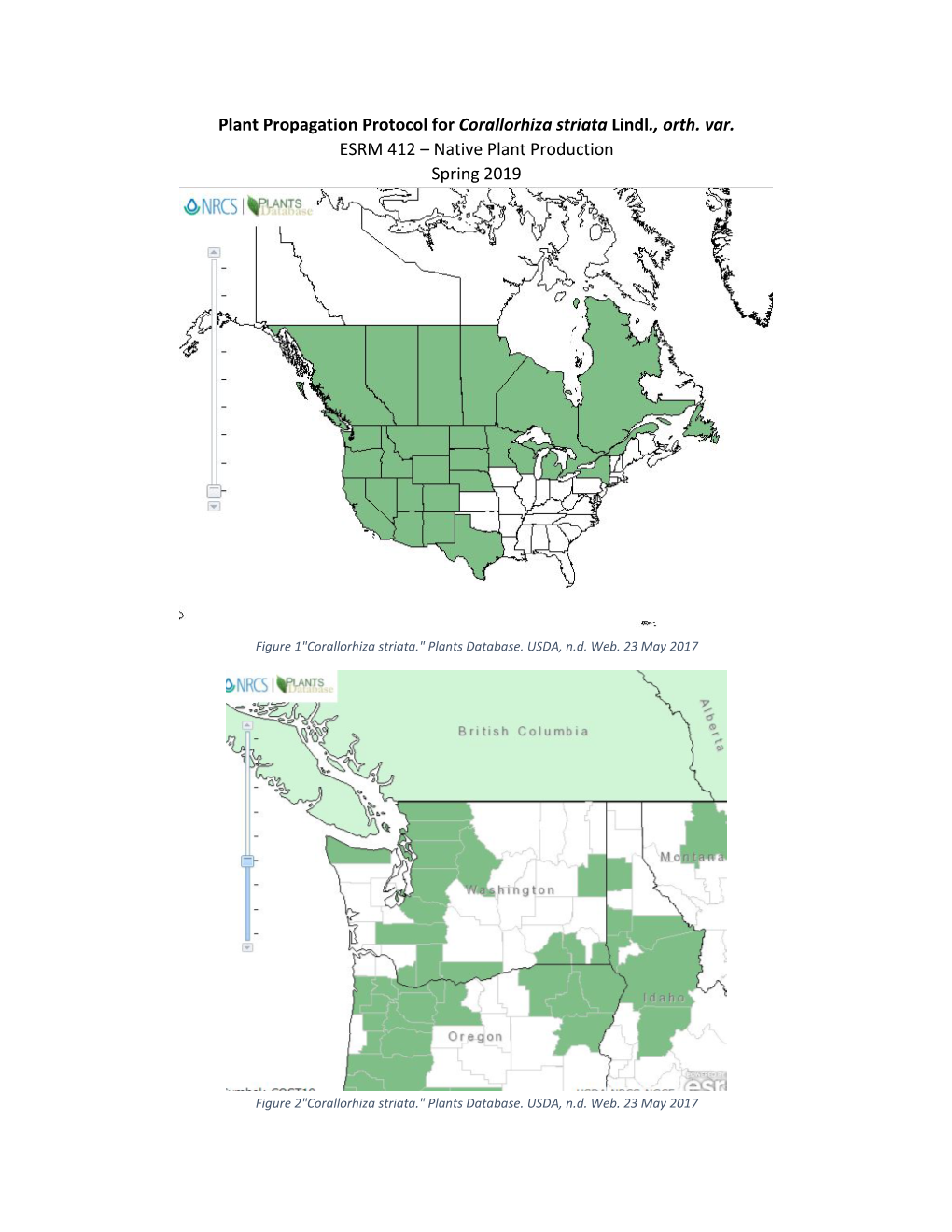 Plant Propagation Protocol for Corallorhiza Striata Lindl., Orth. Var