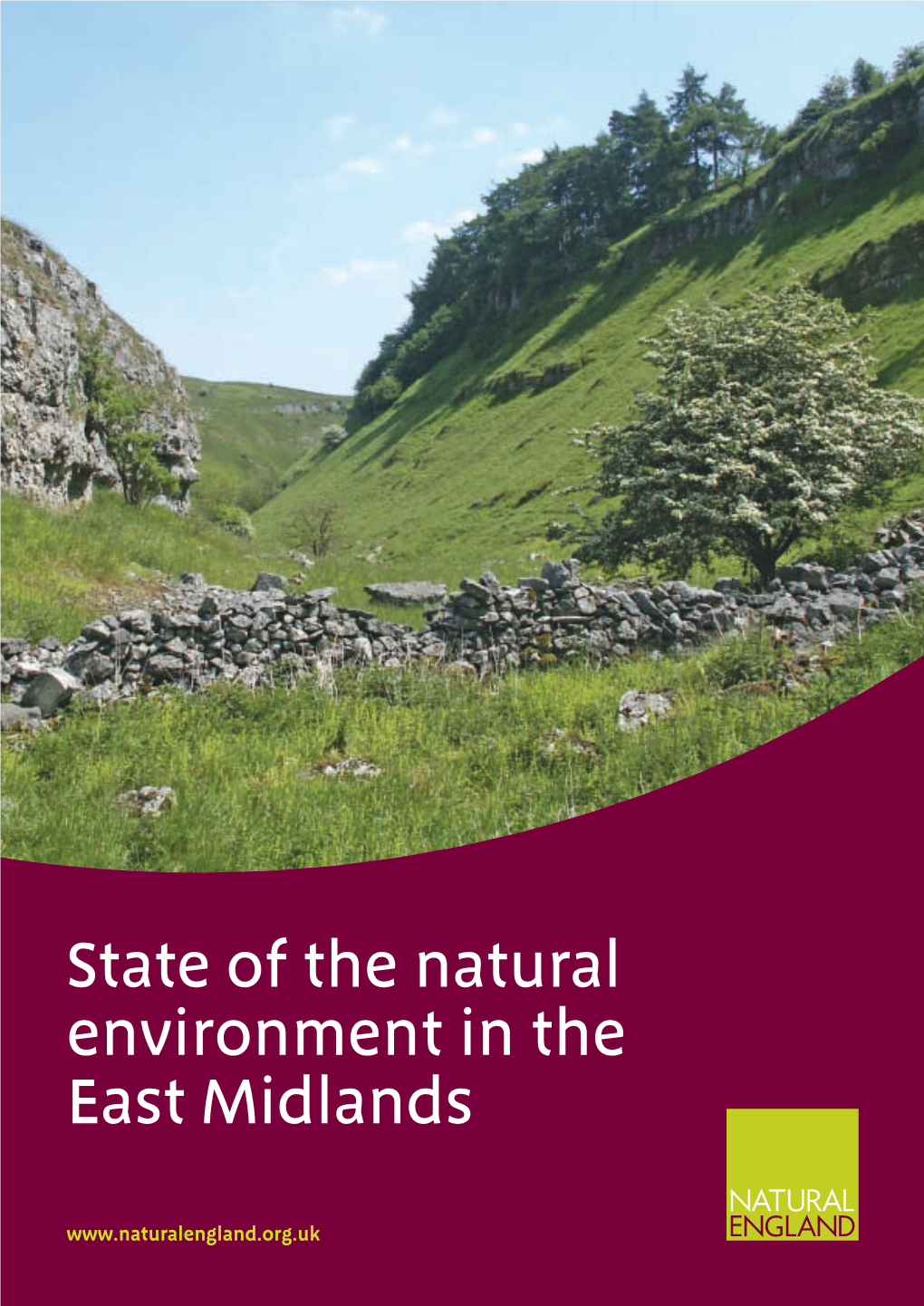 State of the Natural Environment in the East Midlands