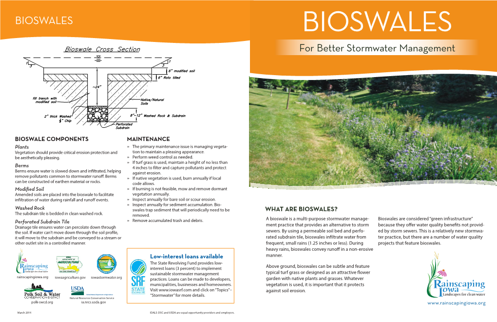 BIOSWALES BIOSWALES for Better Stormwater Management
