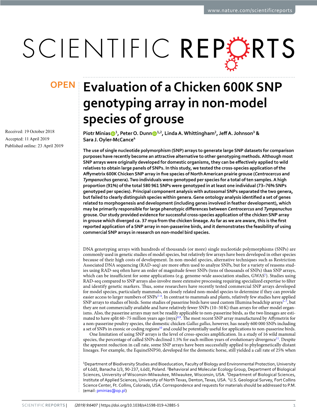 Evaluation of a Chicken 600K SNP Genotyping Array in Non-Model Species of Grouse Received: 19 October 2018 Piotr Minias 1, Peter O