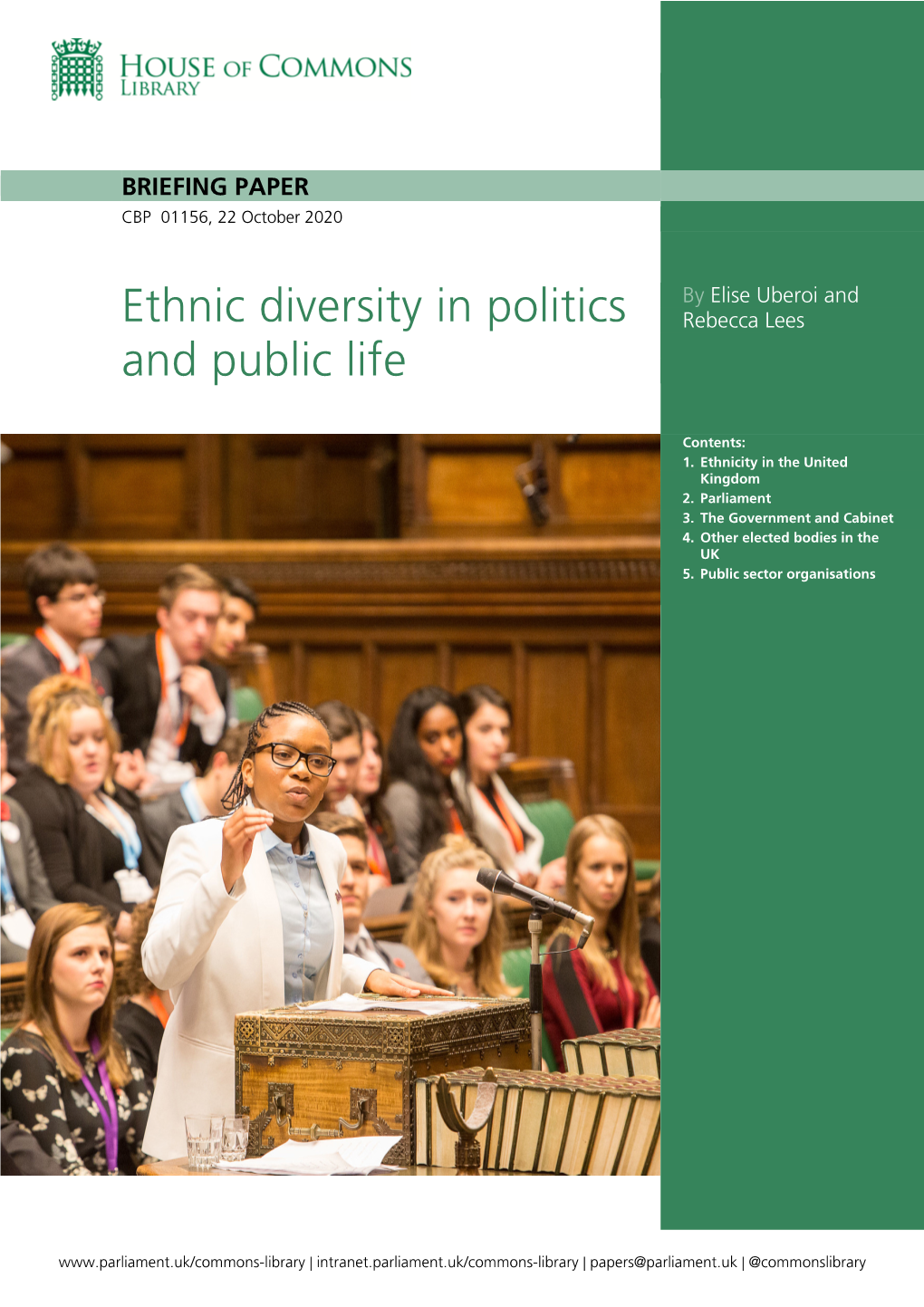 Ethnic Diversity in Politics and Public Life