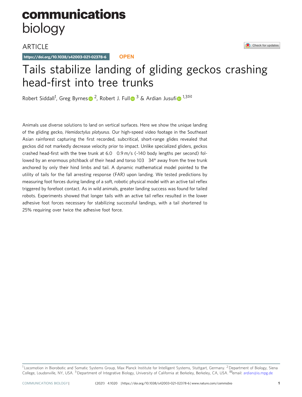 Tails Stabilize Landing of Gliding Geckos Crashing Head-First Into Tree