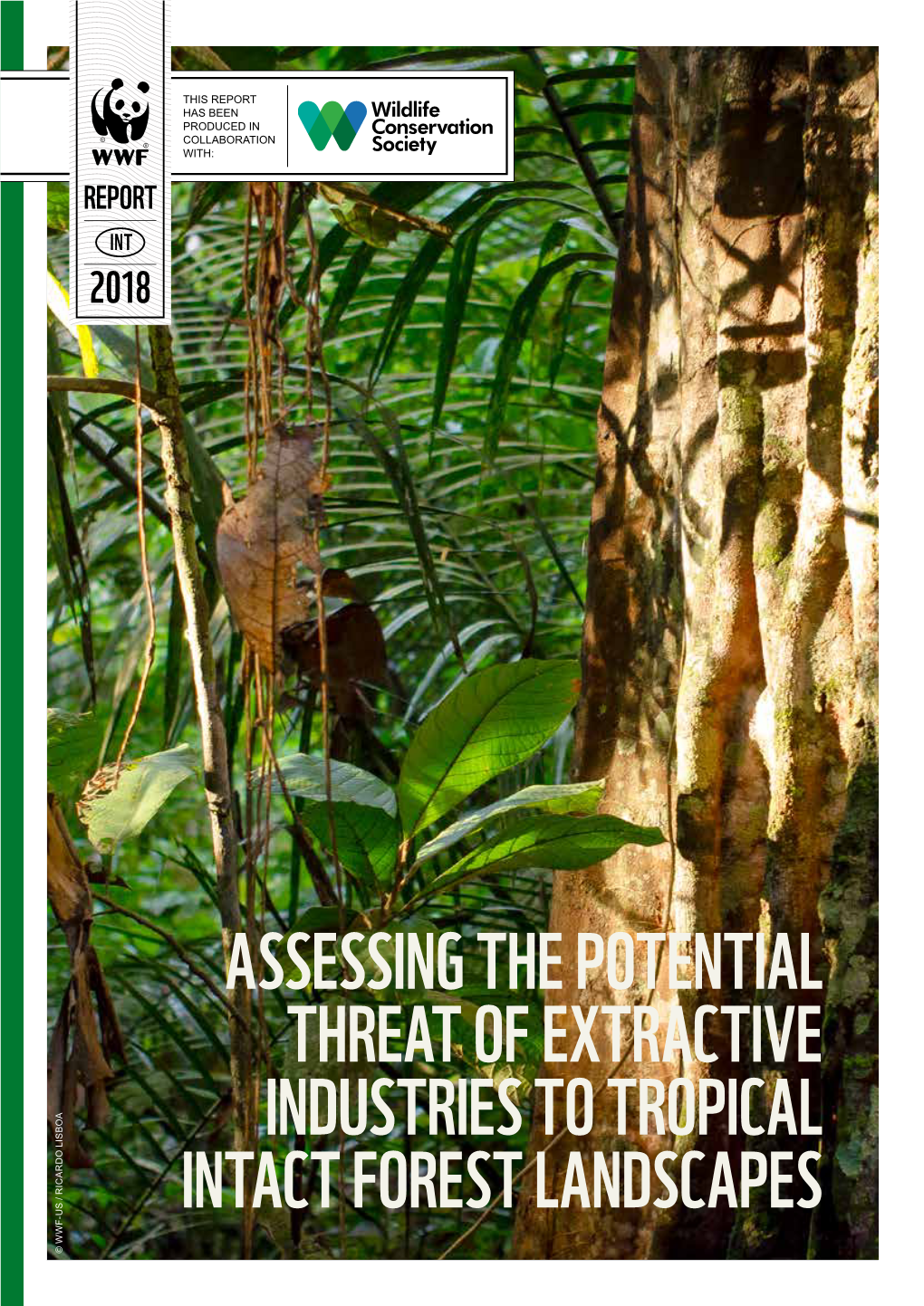 Assessing the Potential Threat of Extractive Industries to Tropical Intact Forest Landscapes © Wwf-Us / Ricardo Lisboa Contents