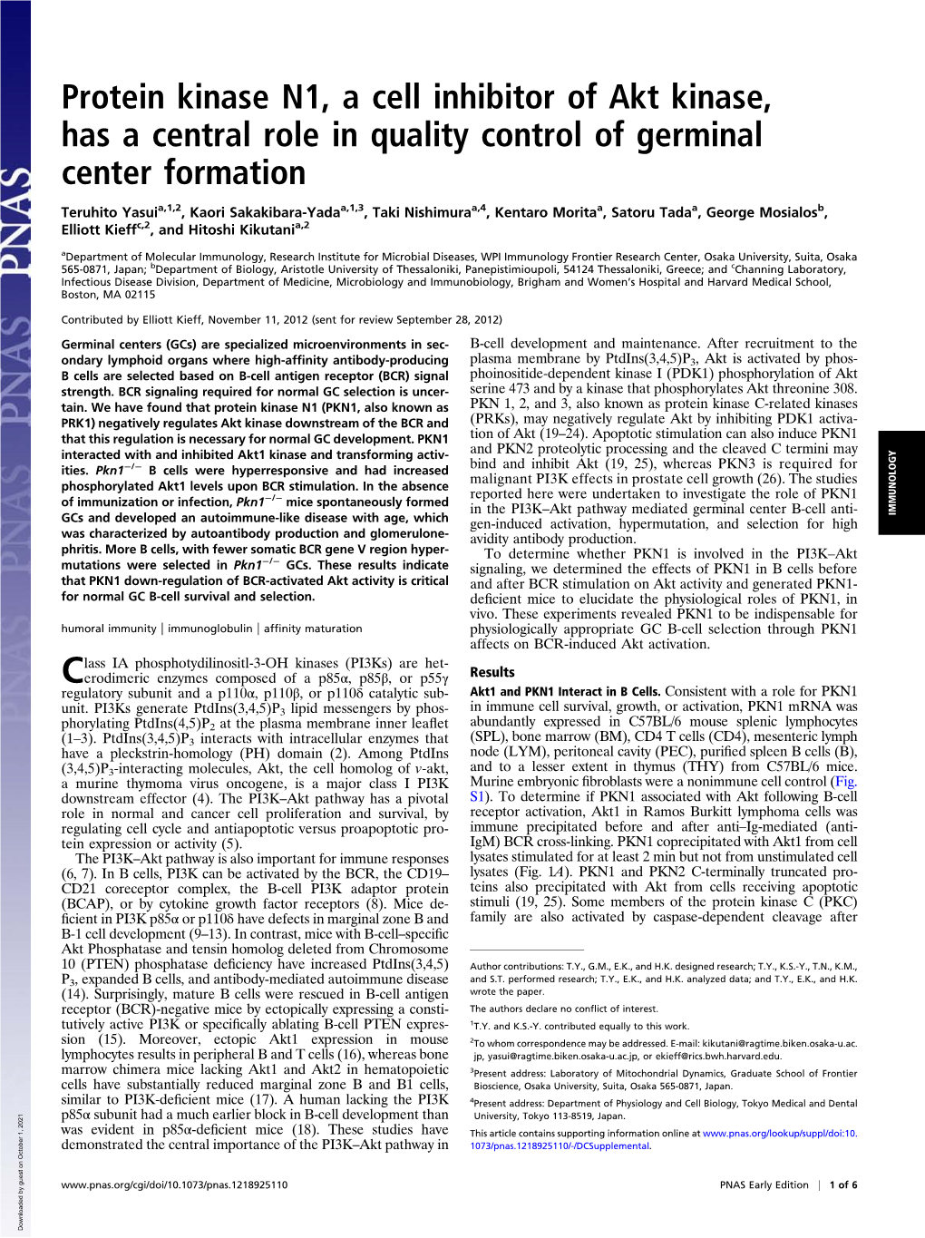 Protein Kinase N1, a Cell Inhibitor of Akt Kinase, Has a Central Role in Quality Control of Germinal Center Formation