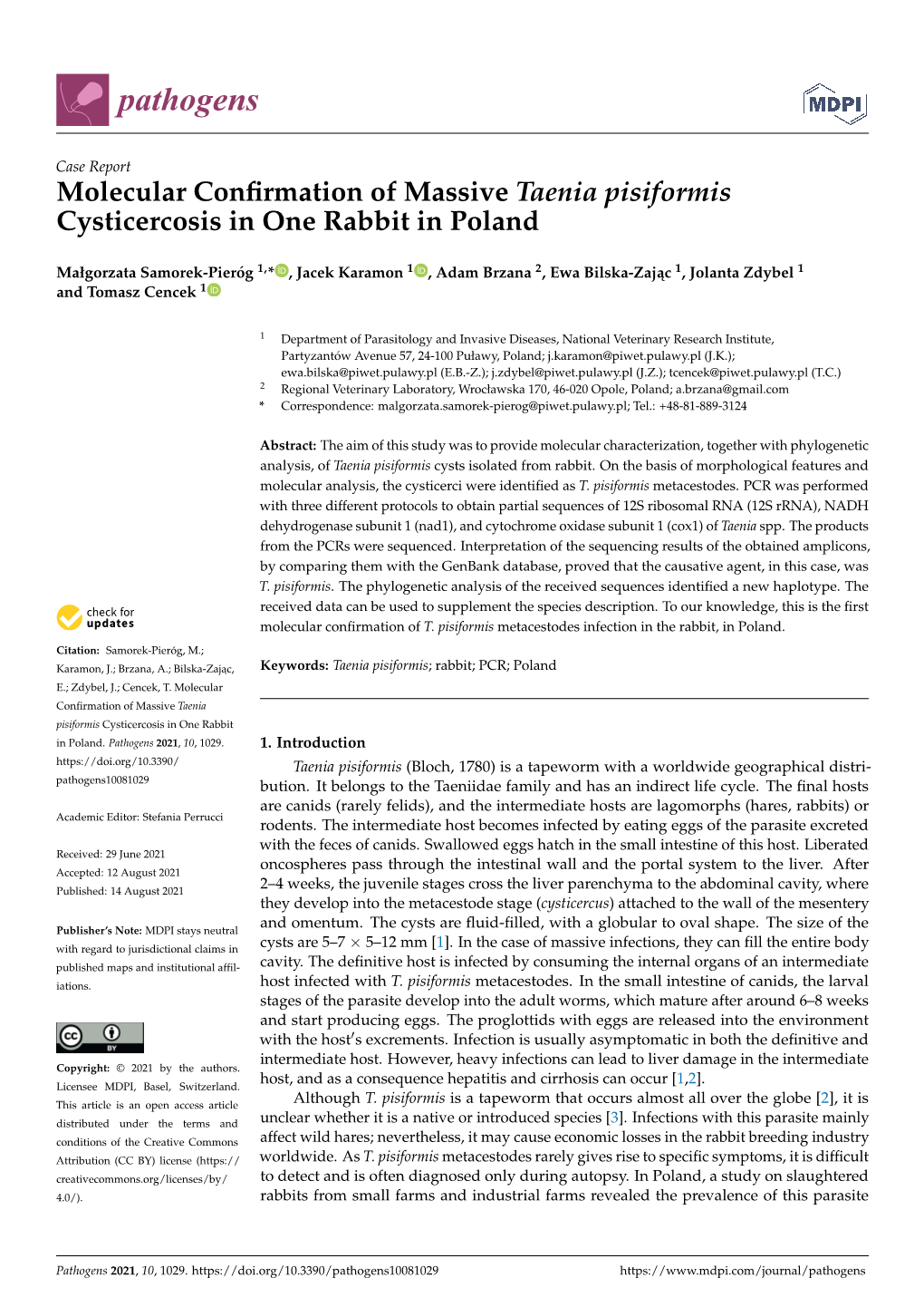 Molecular Confirmation of Massive Taenia Pisiformis Cysticercosis In