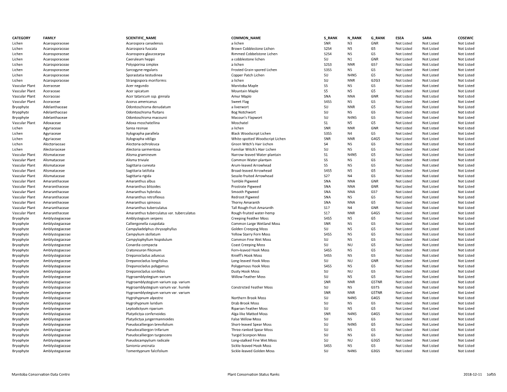 Category Family Scientific Name