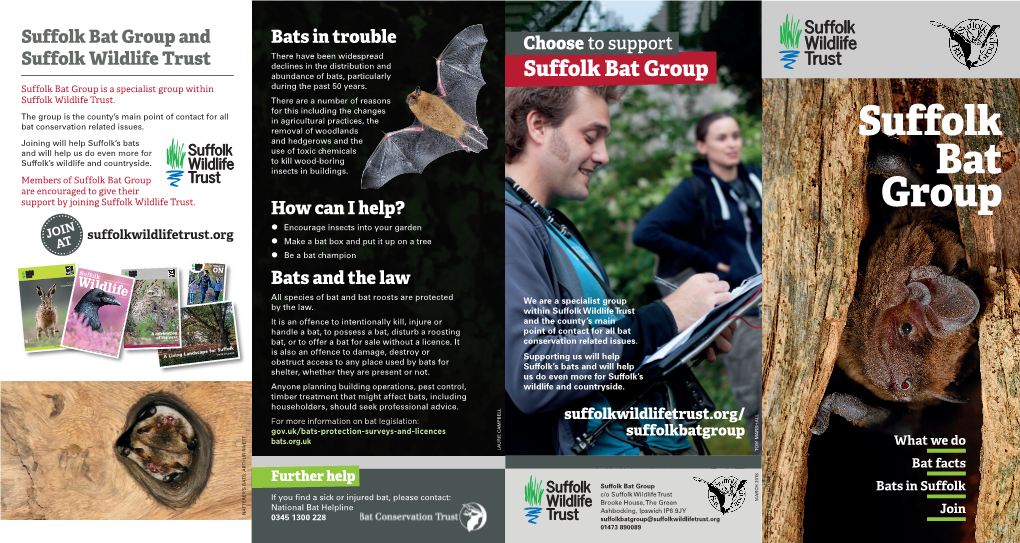 Suffolk Bat Group Leaflet