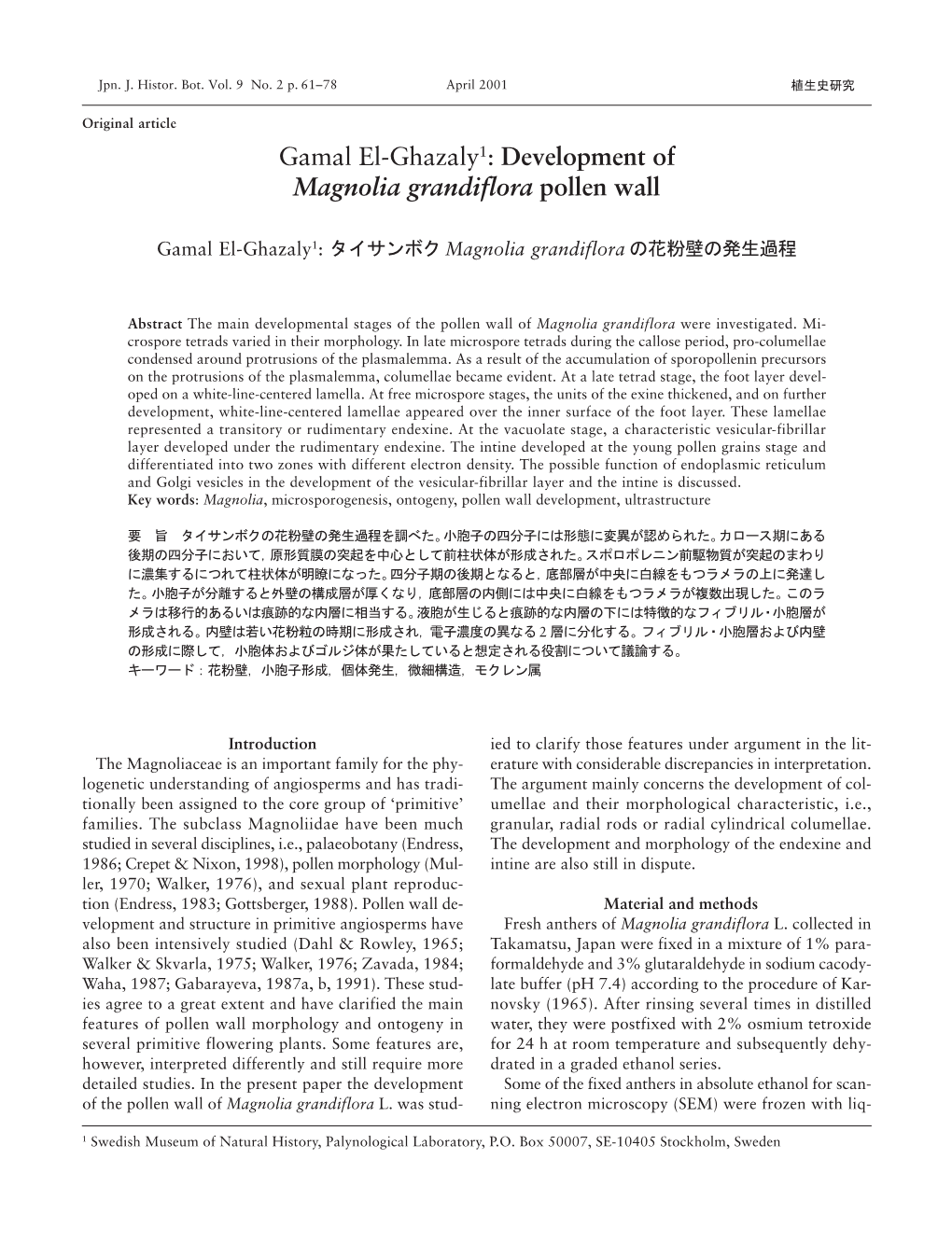 Development of Magnolia Grandiflora Pollen Wall