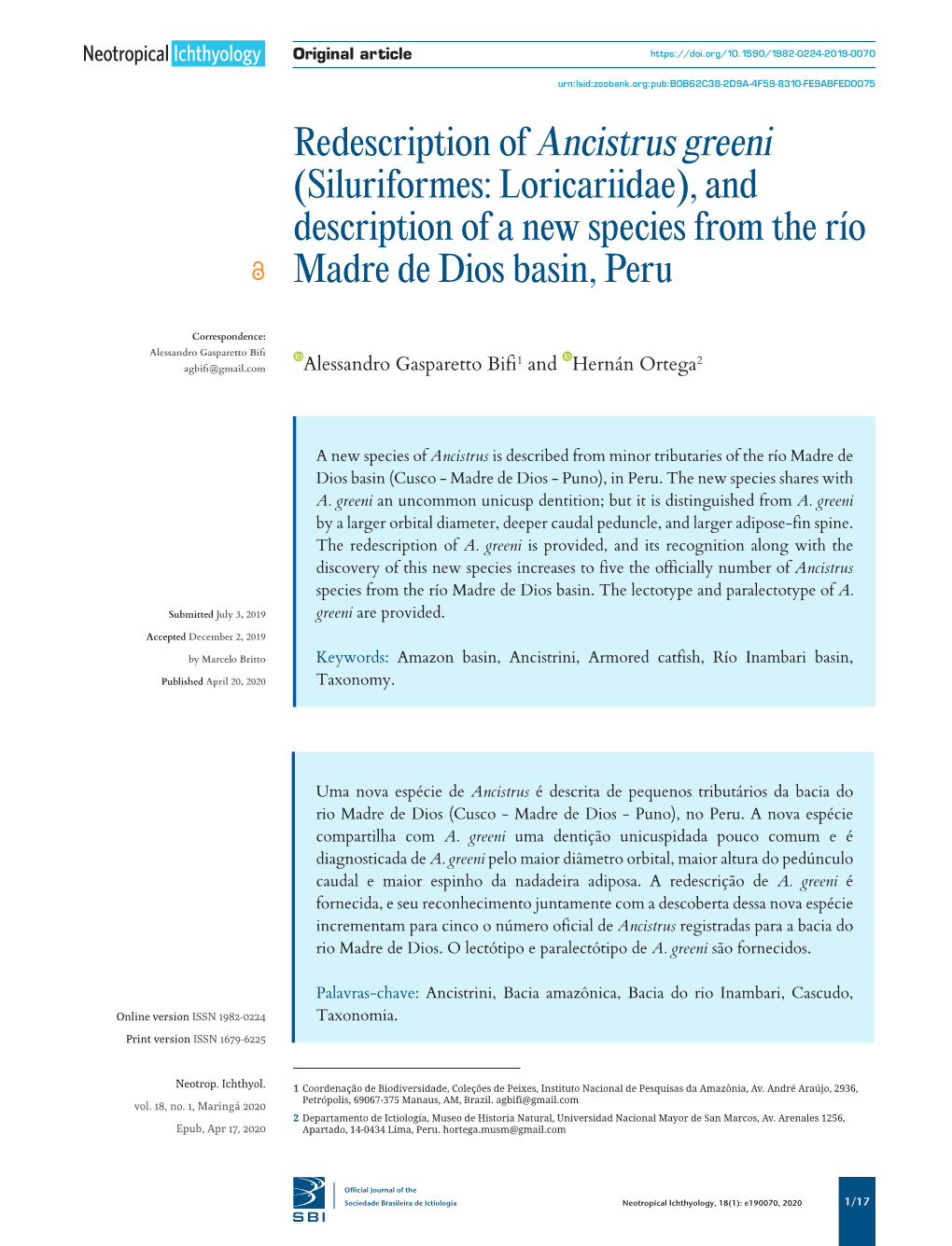 Redescription of Ancistrus Greeni (Siluriformes: Loricariidae), and Description of a New Species from the Río Madre De Dios Basin, Peru