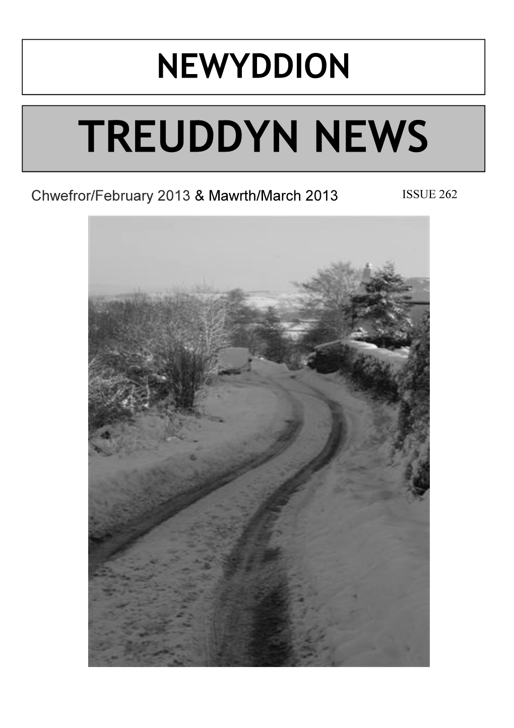 Treuddyn News