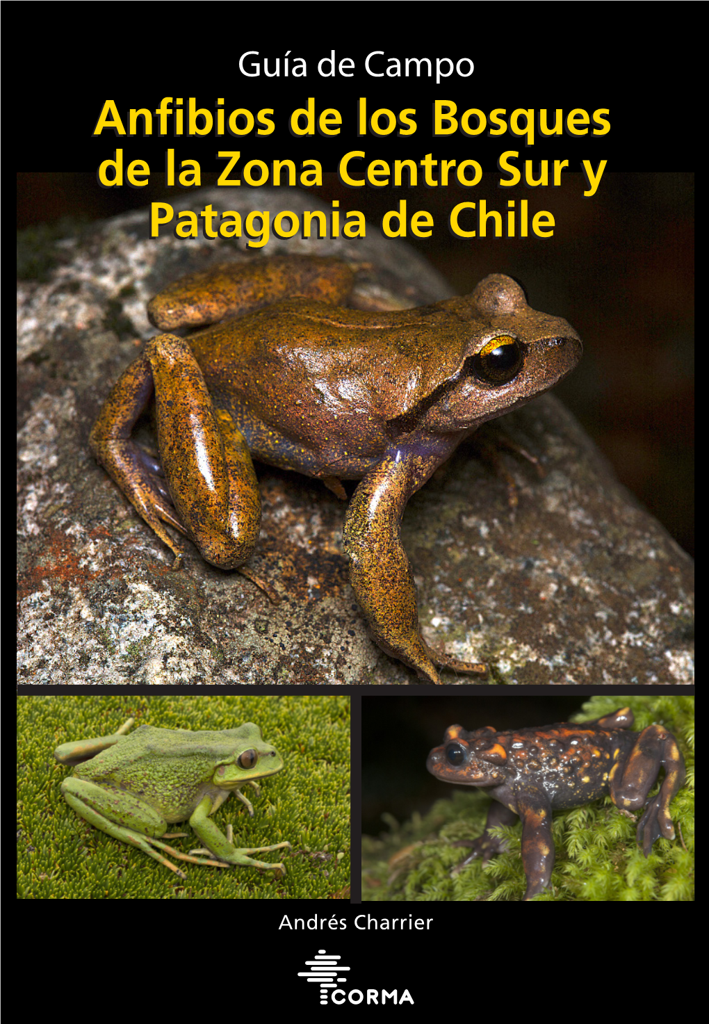 Anfibios-De-Los-Bosques-De-La-Zona-Centro-Sur-Y-Patagonia-De-Chile