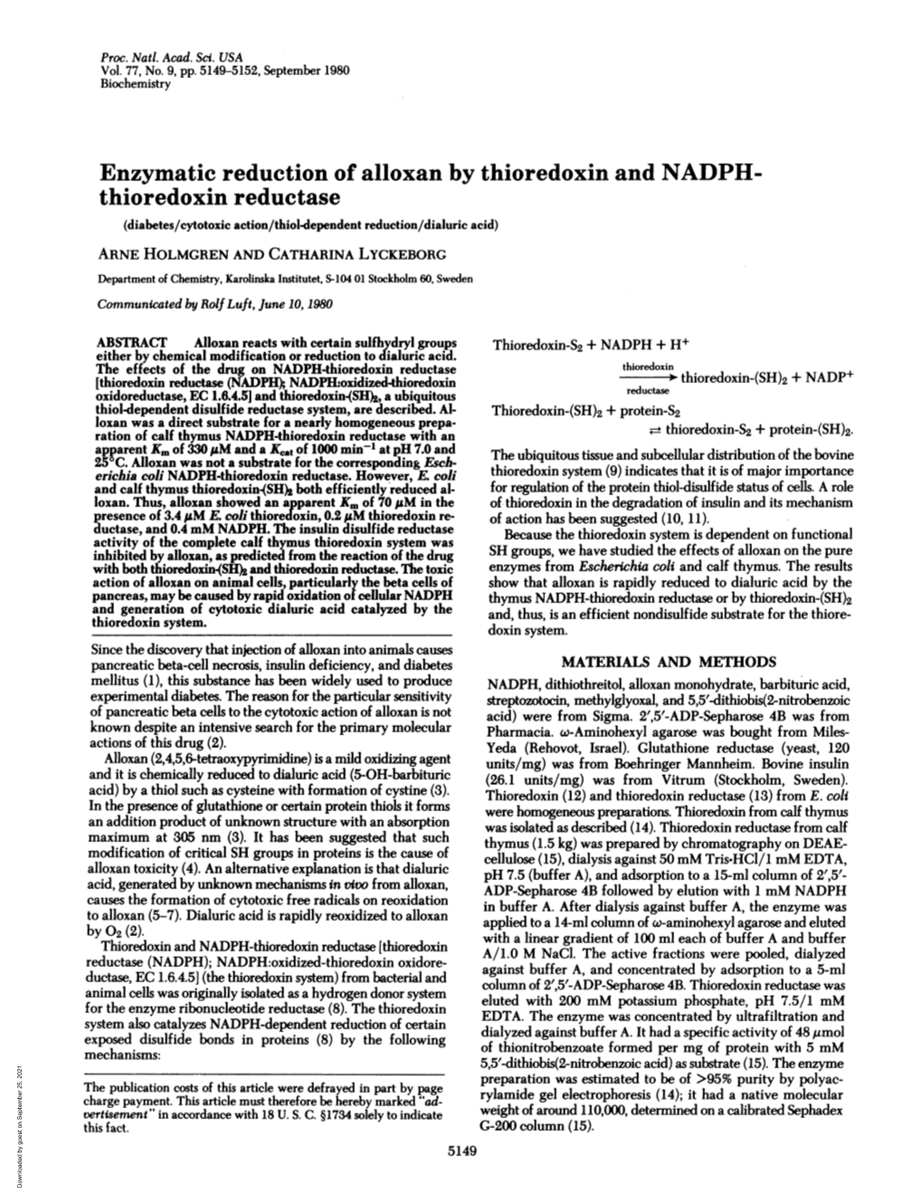 Thioredoxin Reductase