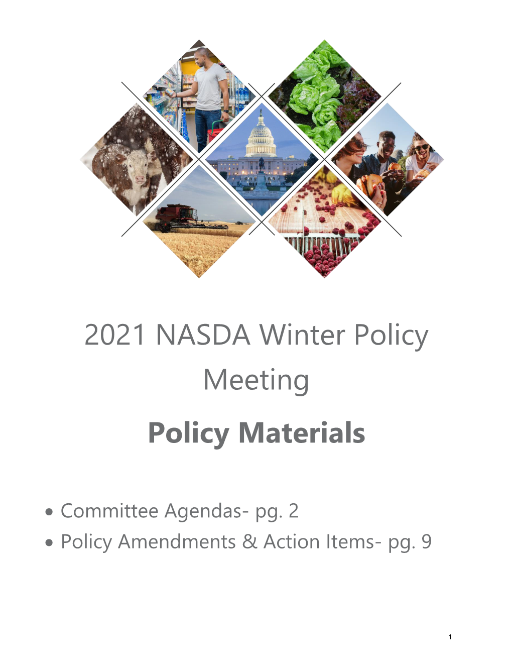 2021 NASDA Winter Policy Meeting Policy Materials