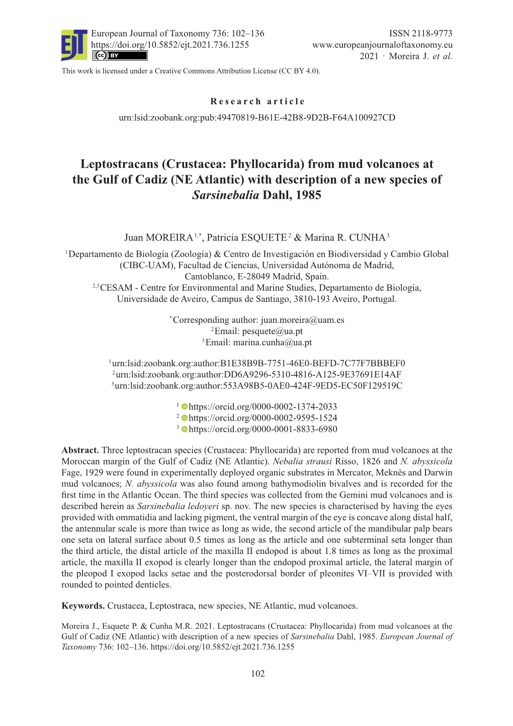 Crustacea: Phyllocarida) from Mud Volcanoes at the Gulf of Cadiz (NE Atlantic) with Description of a New Species of Sarsinebalia Dahl, 1985