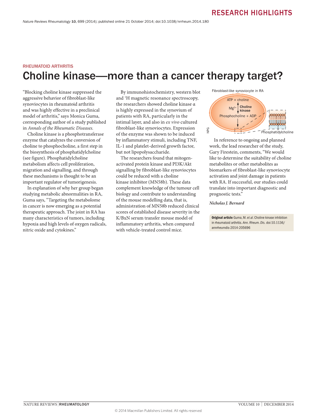 Choline Kinase—More Than a Cancer Therapy Target?