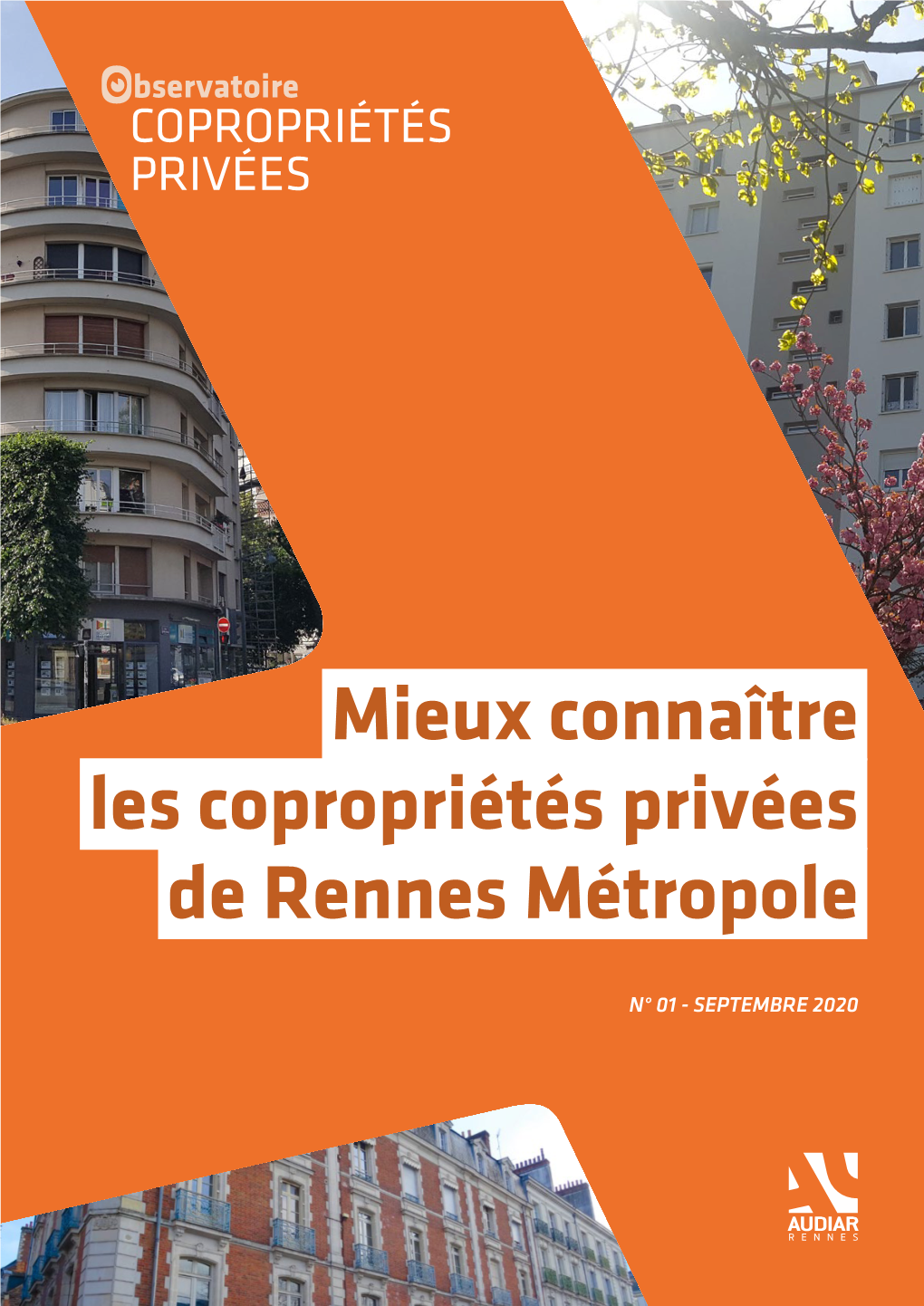 Mieux Connaître Les Copropriétés Privées De Rennes Métropole