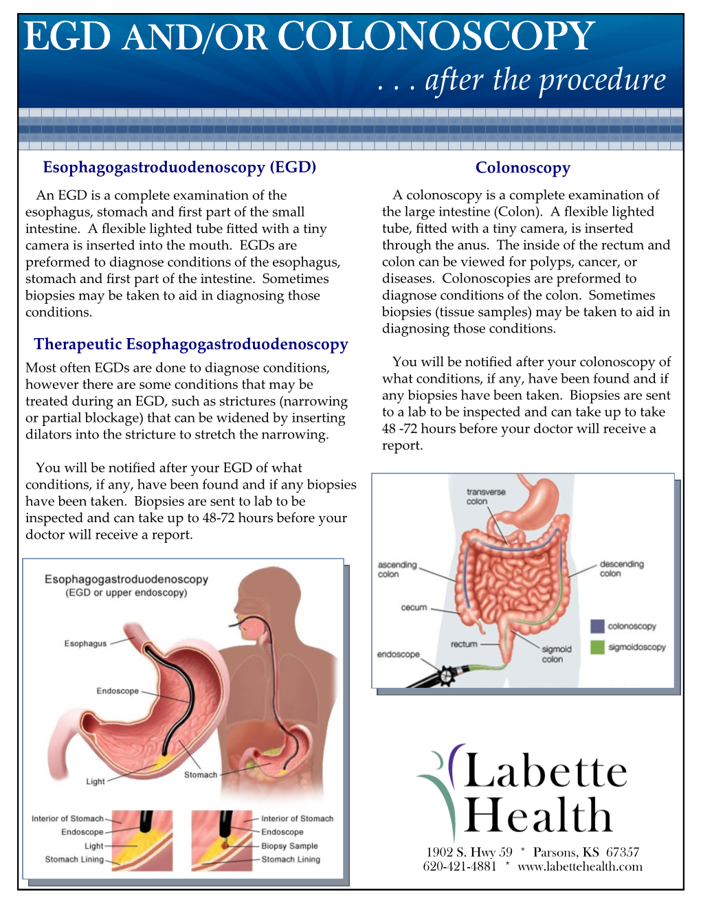 Egd And/Or Colonoscopy