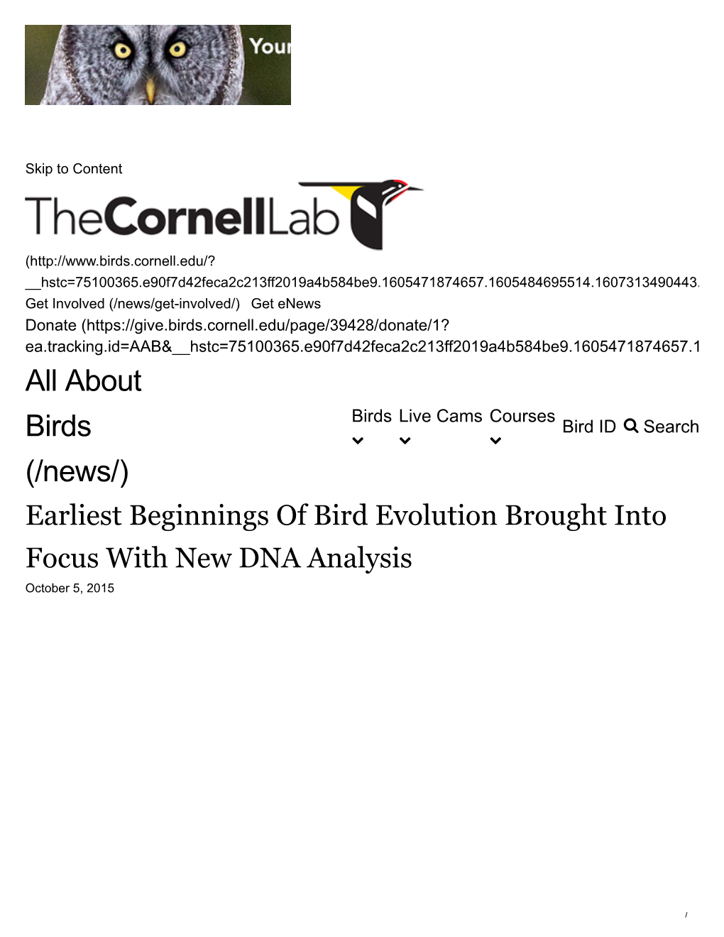 About Birds Live Cams Courses Bird ID  Search Birds    (/News/) Earliest Beginnings of Bird Evolution Brought Into Focus with New DNA Analysis October 5, 2015