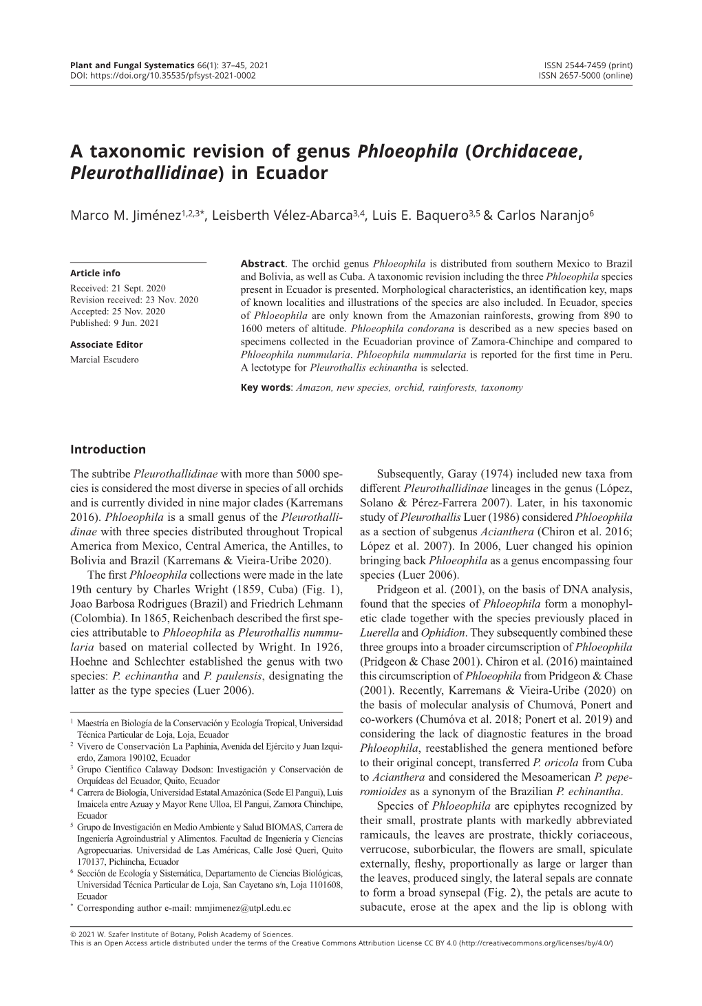 A Taxonomic Revision of Genus Phloeophila (Orchidaceae, Pleurothallidinae) in Ecuador