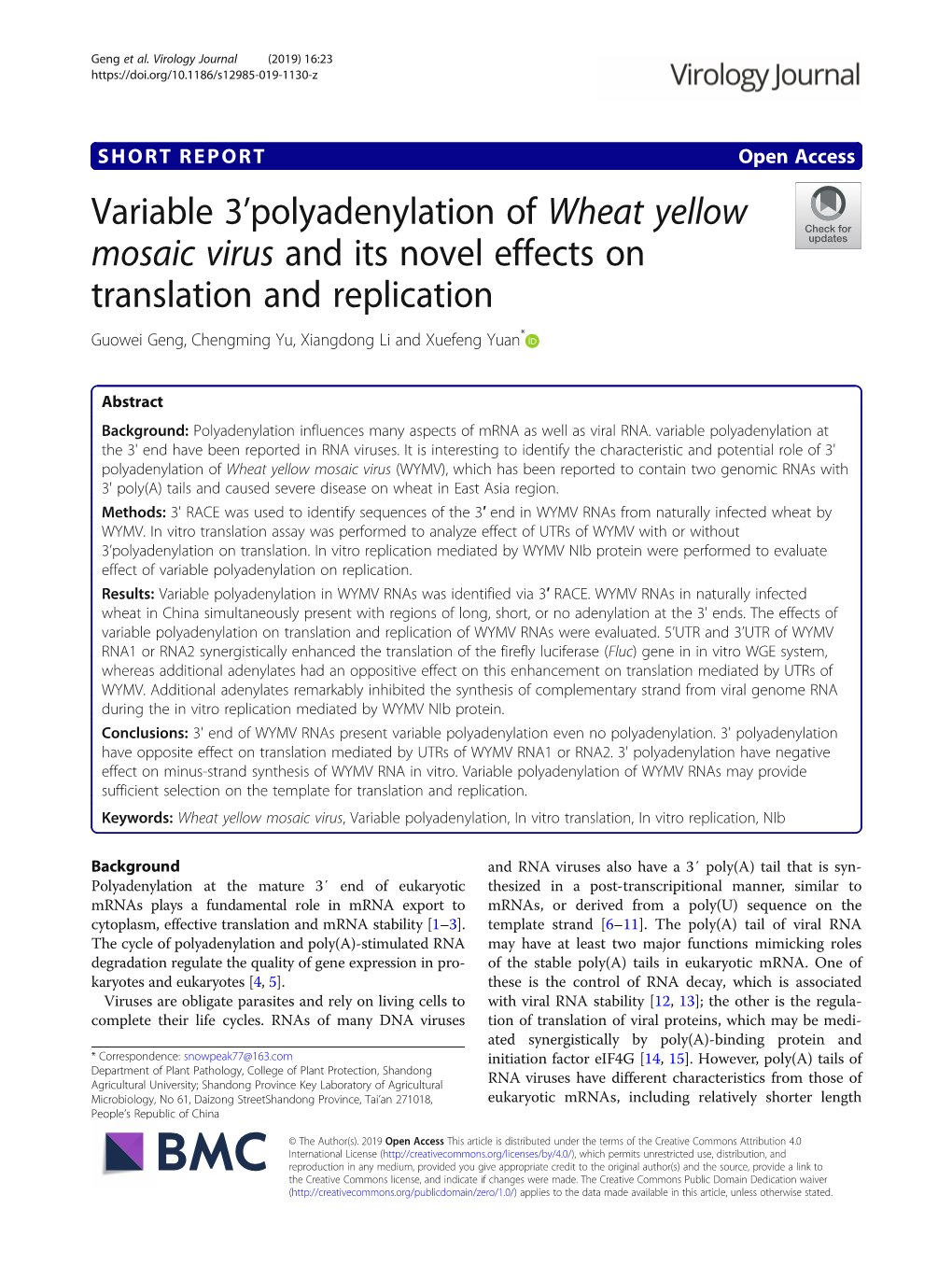 Variable 3'Polyadenylation of Wheat Yellow Mosaic Virus and Its Novel