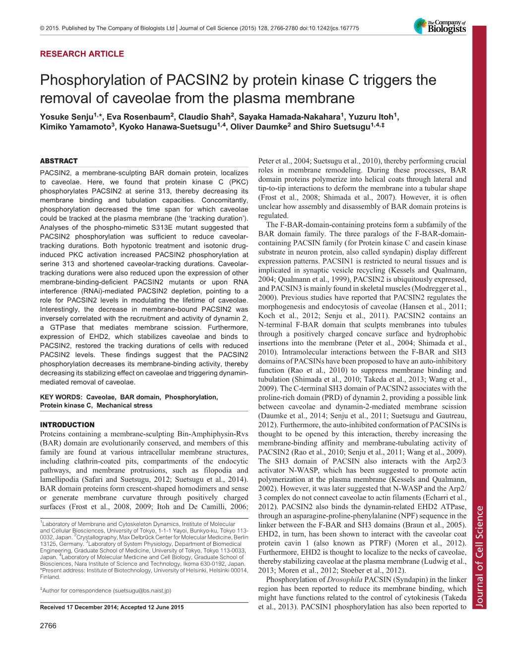 Phosphorylation of PACSIN2 by Protein Kinase C Triggers The