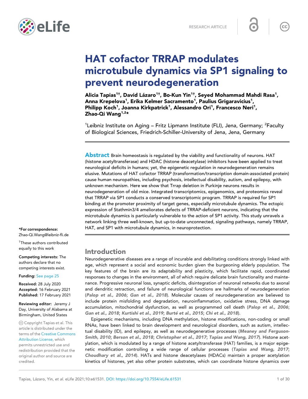 HAT Cofactor TRRAP Modulates Microtubule Dynamics Via SP1