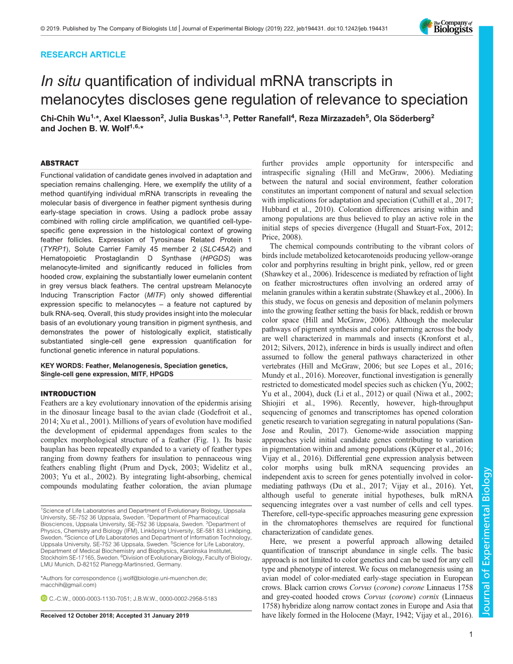 In Situ Quantification of Individual Mrna Transcripts in Melanocytes Discloses Gene Regulation of Relevance to Speciation