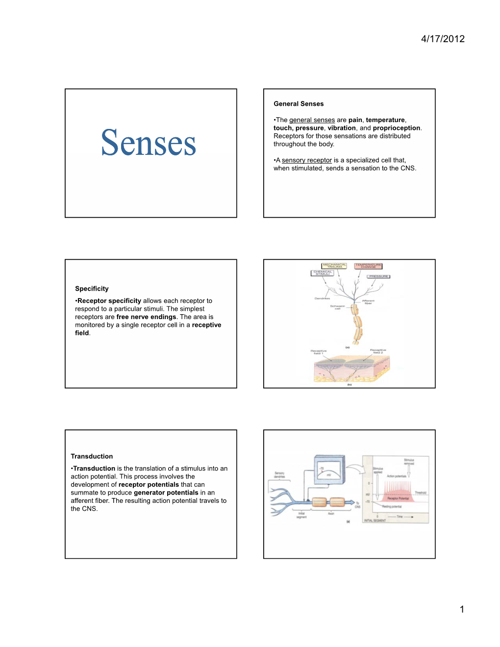 General Senses •The General Senses Are Pain, Temperature, Touch