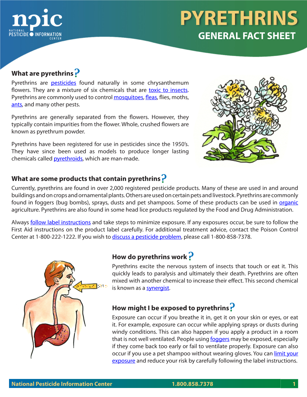 Pyrethrins General Fact Sheet