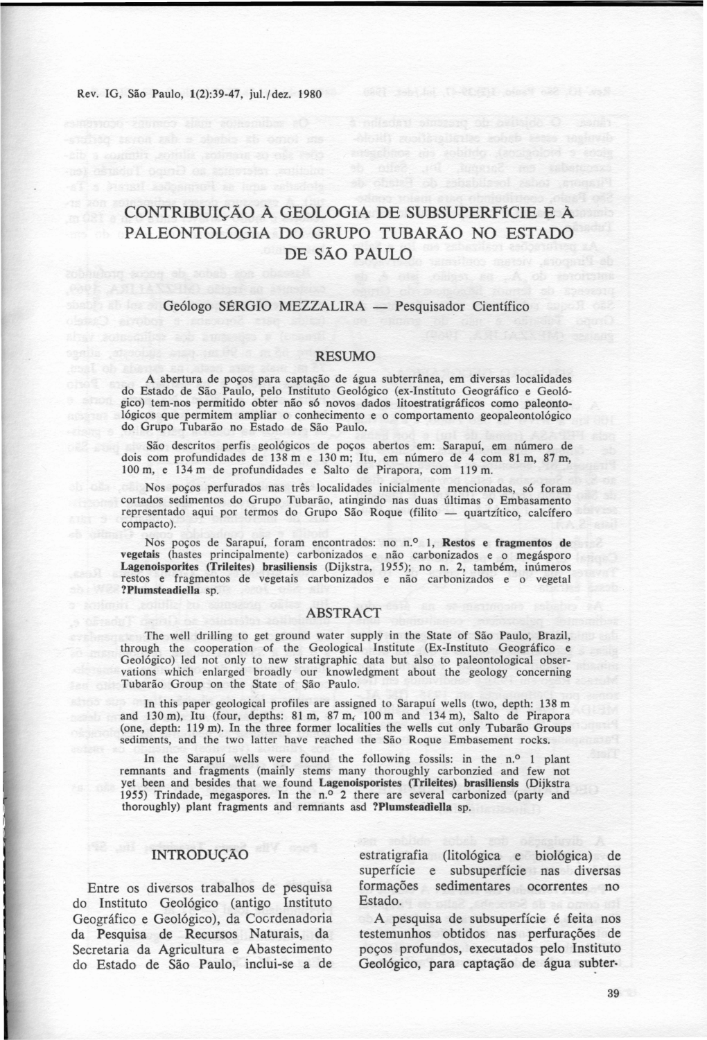 CONTRIBUIÇÃO À GEOLOGIA DE Subsuperftcie E À PALEONTOLOGIA DO GRUPO TUBARÃO NO ESTADO DE SÃO PAULO