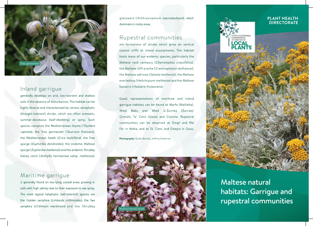 Maltese Natural Habitats: Garrigue and Rupestral Communities