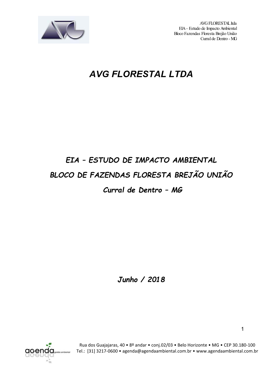 AVG FLORESTAL Ltda EIA – Estudo De Impacto Ambiental Bloco Fazendas Floresta Brejão União Curral De Dentro - MG