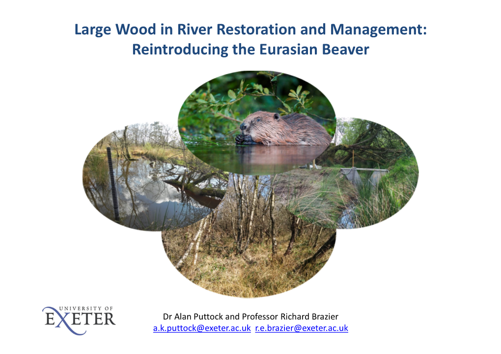 Large Wood in River Restoration and Management: Reintroducing the Eurasian Beaver Richard Brazier1, Mark Elliott2 and Alan Puttock1