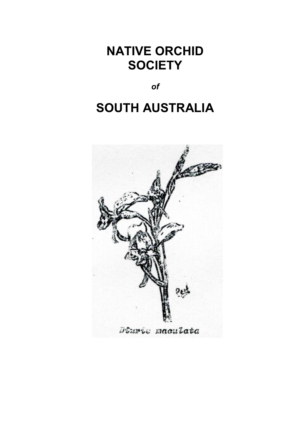 Native Orchid Society South Australia