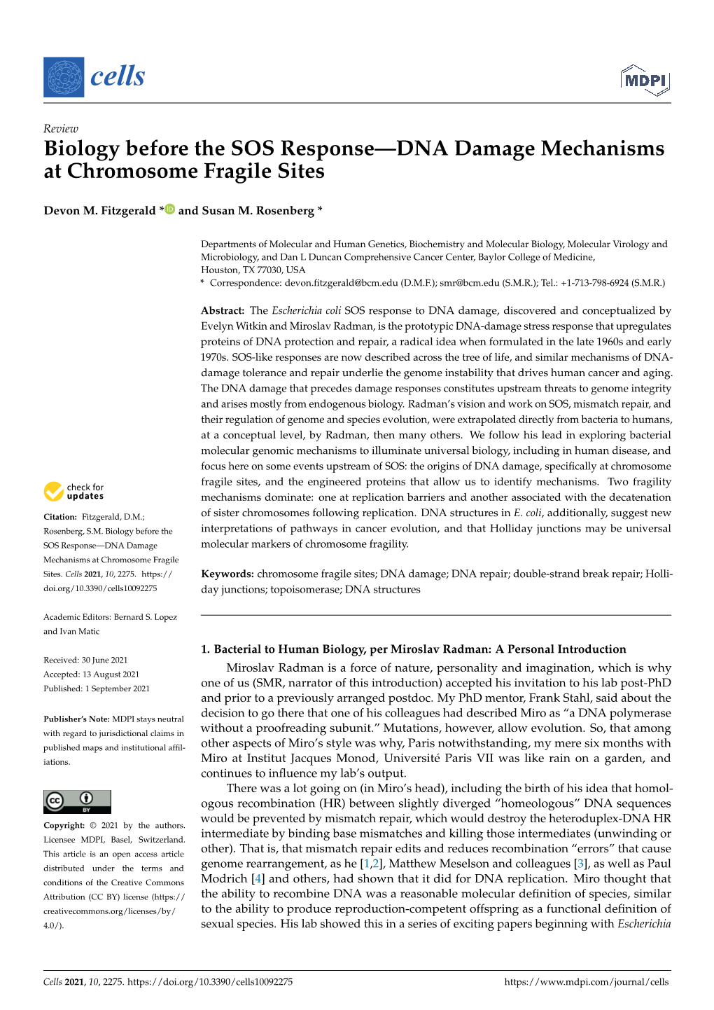 Biology Before the SOS Response—DNA Damage Mechanisms at Chromosome Fragile Sites