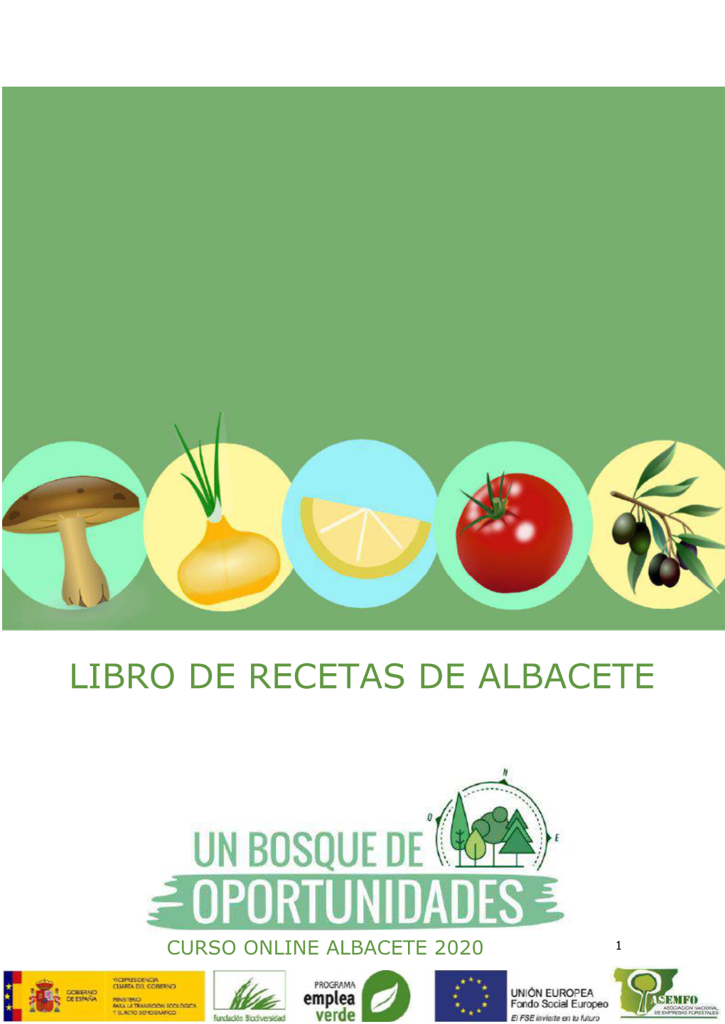 Libro De Recetas De Albacete