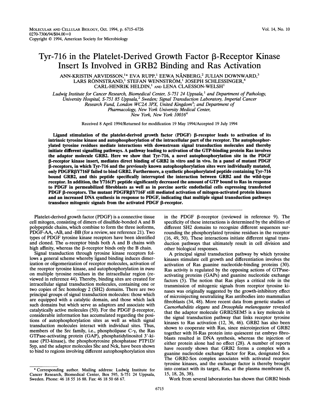 Tyr-716 in the Platelet-Derived Growth Factor 3-Receptor Kinase Insert Is