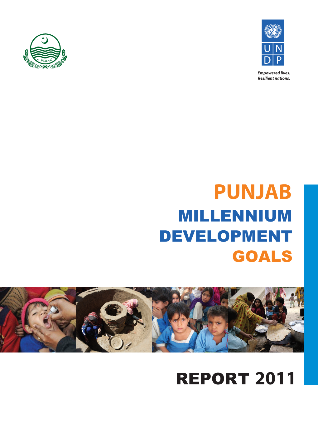 Punjab Millennium Development Goals Report, 2011