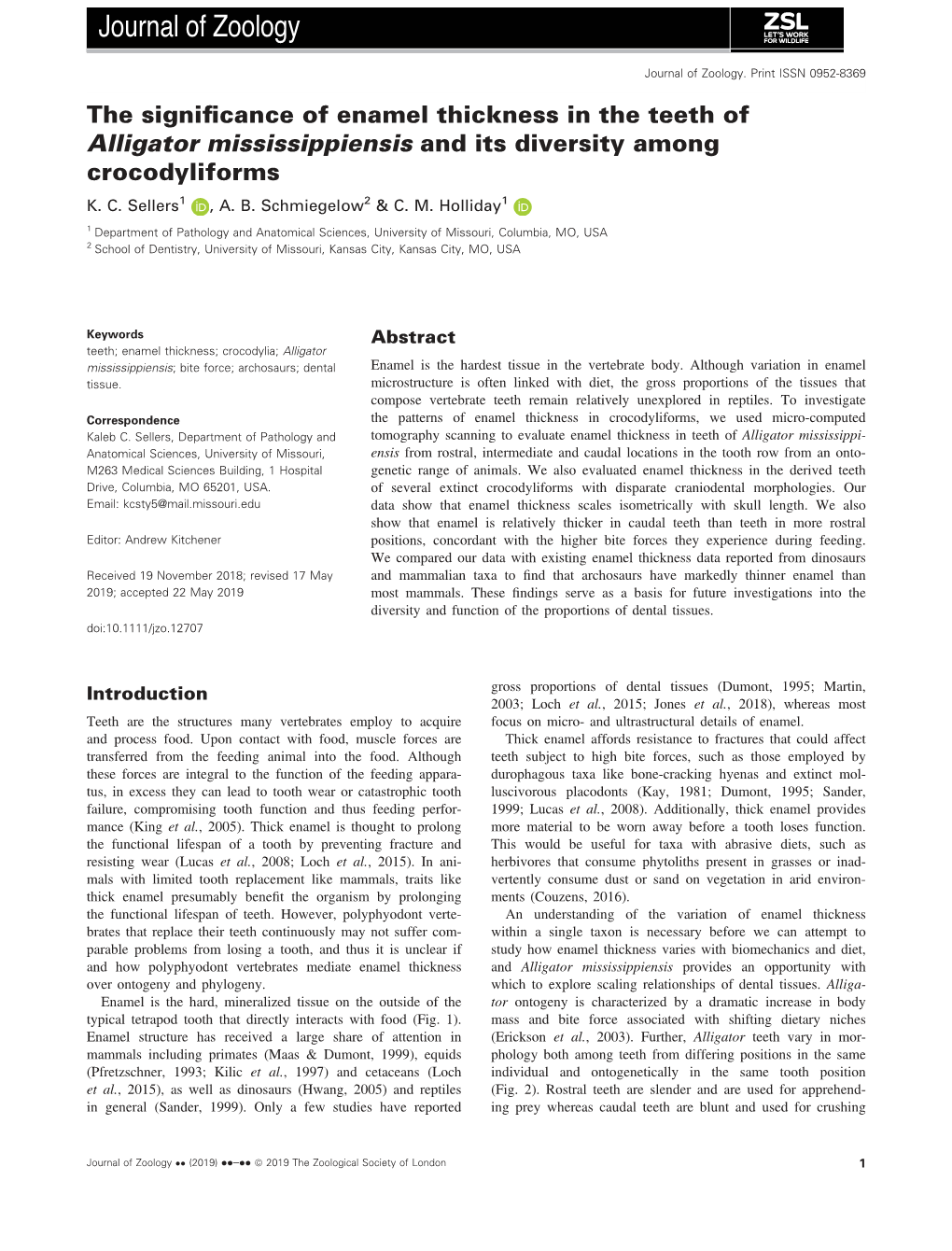 The Significance of Enamel Thickness in the Teeth of Alligator