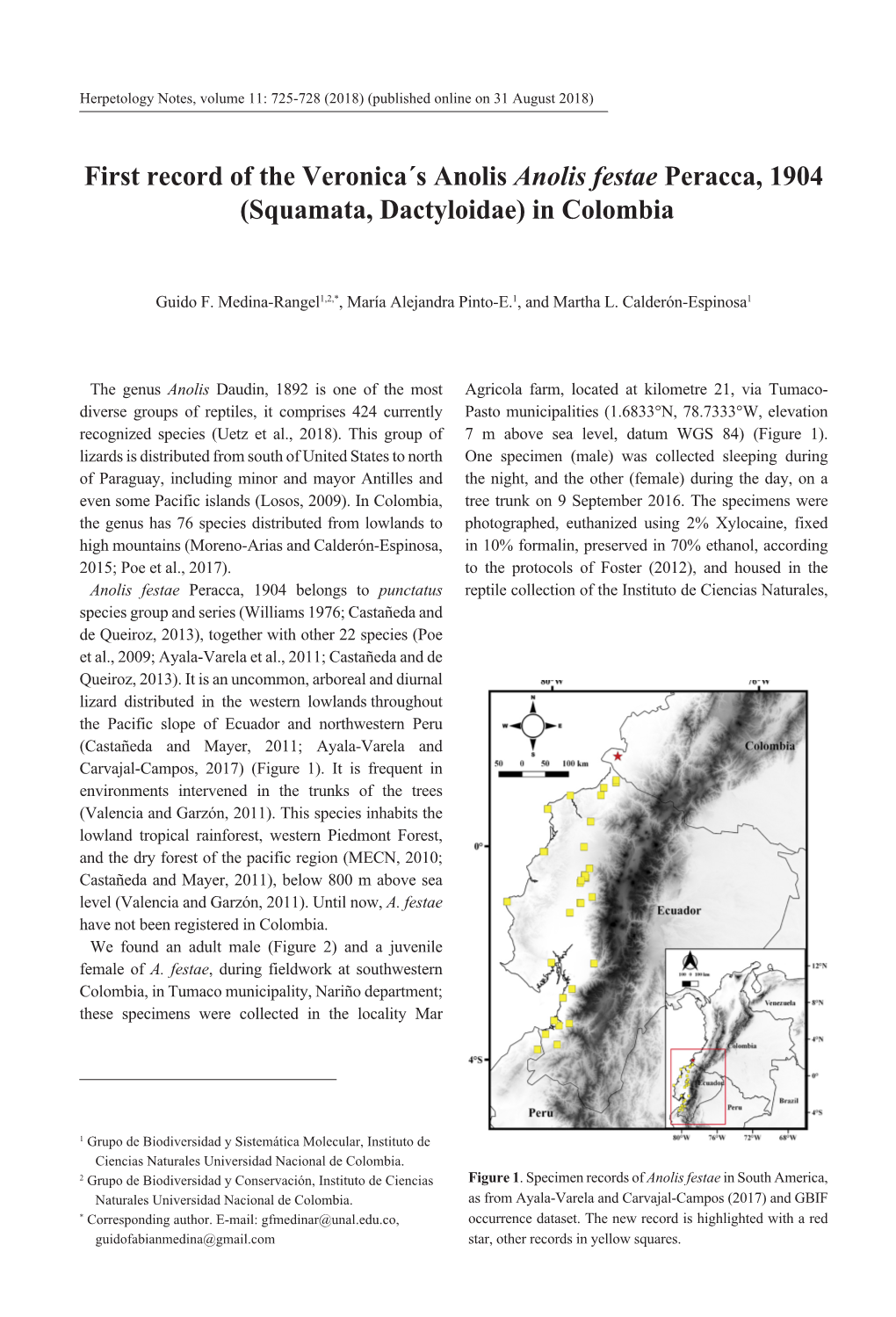 First Record of the Veronica´S Anolis Anolis Festae Peracca, 1904 (Squamata, Dactyloidae) in Colombia