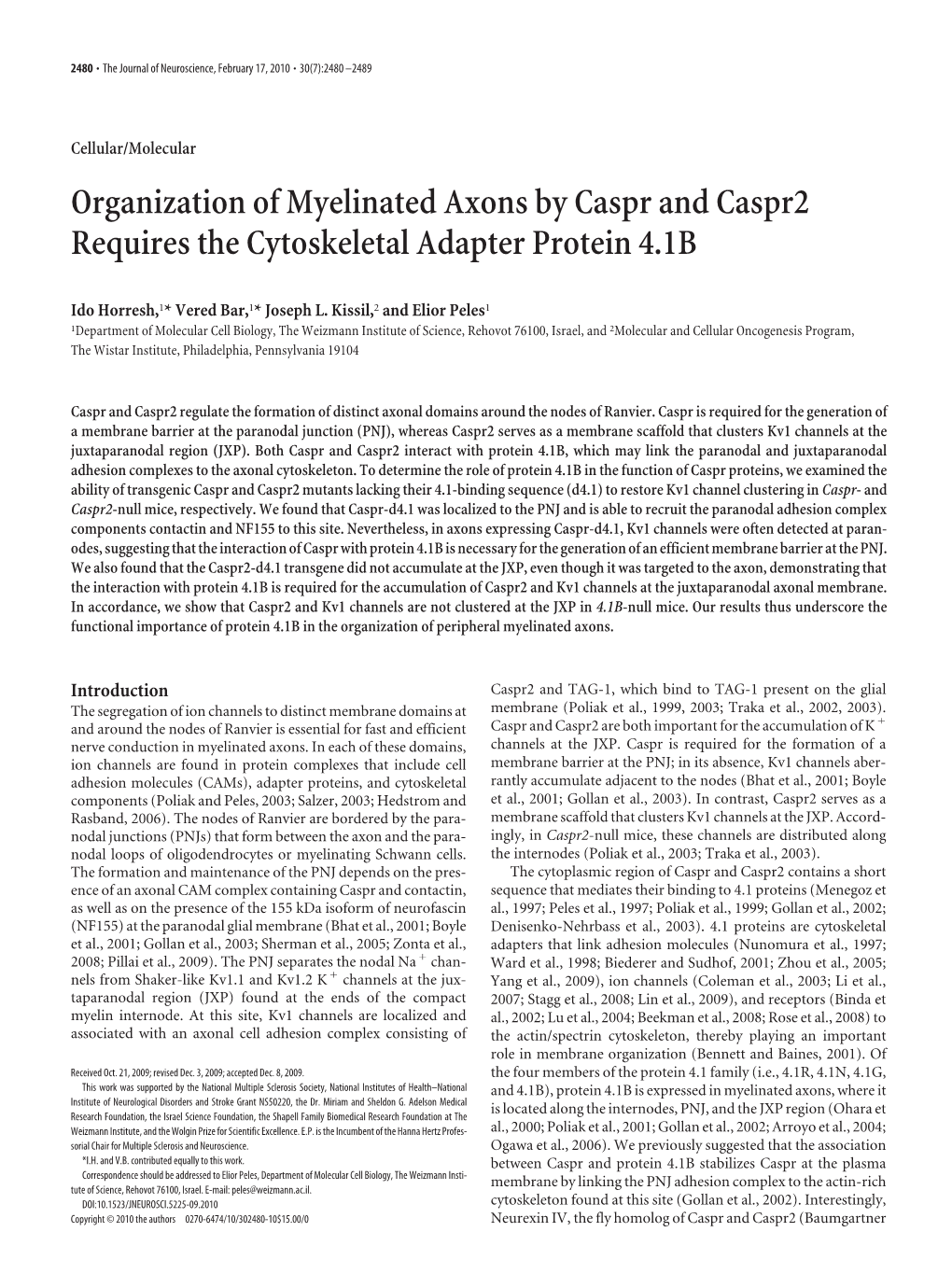 Organization of Myelinated Axons by Caspr and Caspr2 Requires the Cytoskeletal Adapter Protein 4.1B